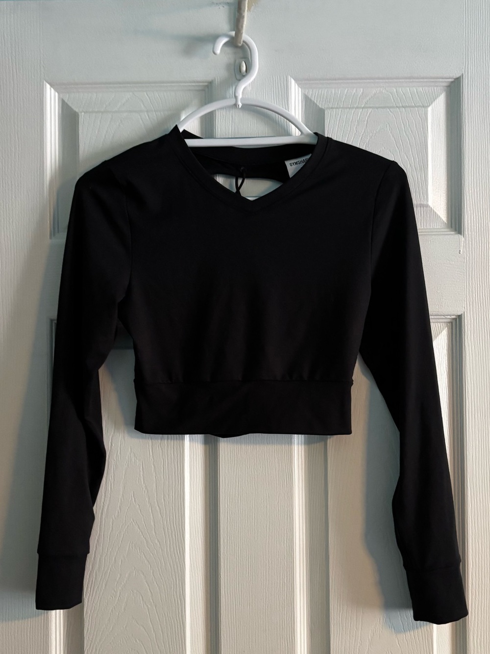 GymShark Long Sleeve Open Back Workout CropTop